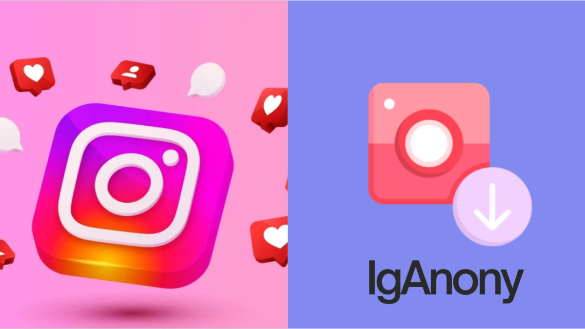 IgAnony - Instagram Story Viewer Tool