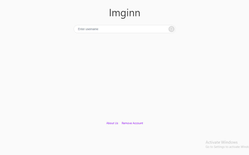 What is Imginn?