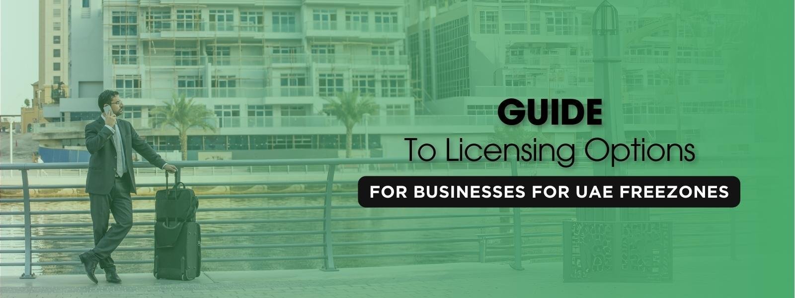 Guide to Licensing Options for Businesses in UAE Free Zones