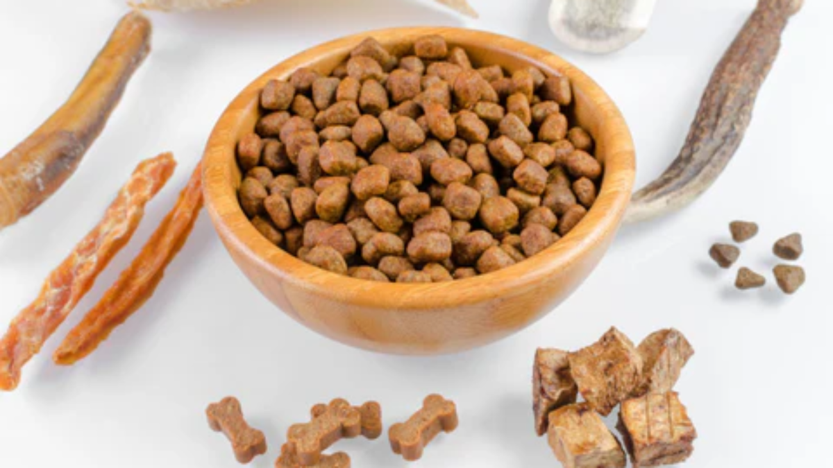 Freeze-Dried vs Wet Dog Food