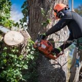 Tree Care Business