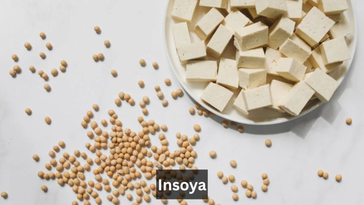 Insoya