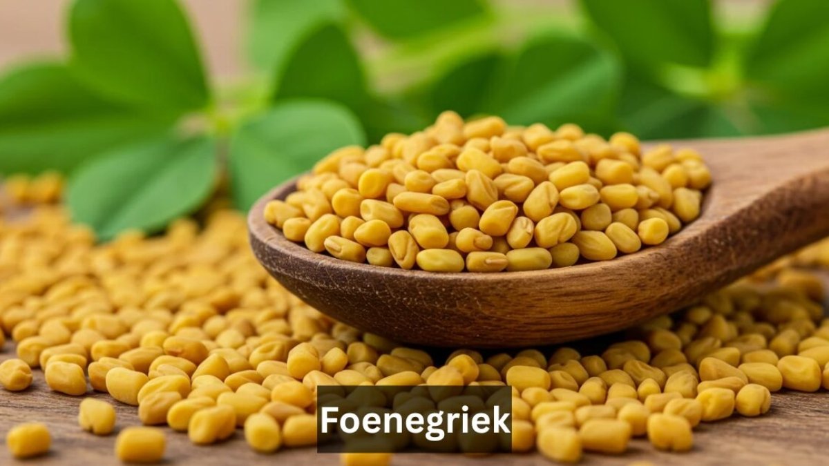 Foenegriek