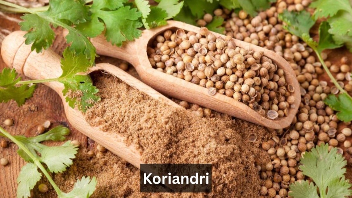 Koriandri