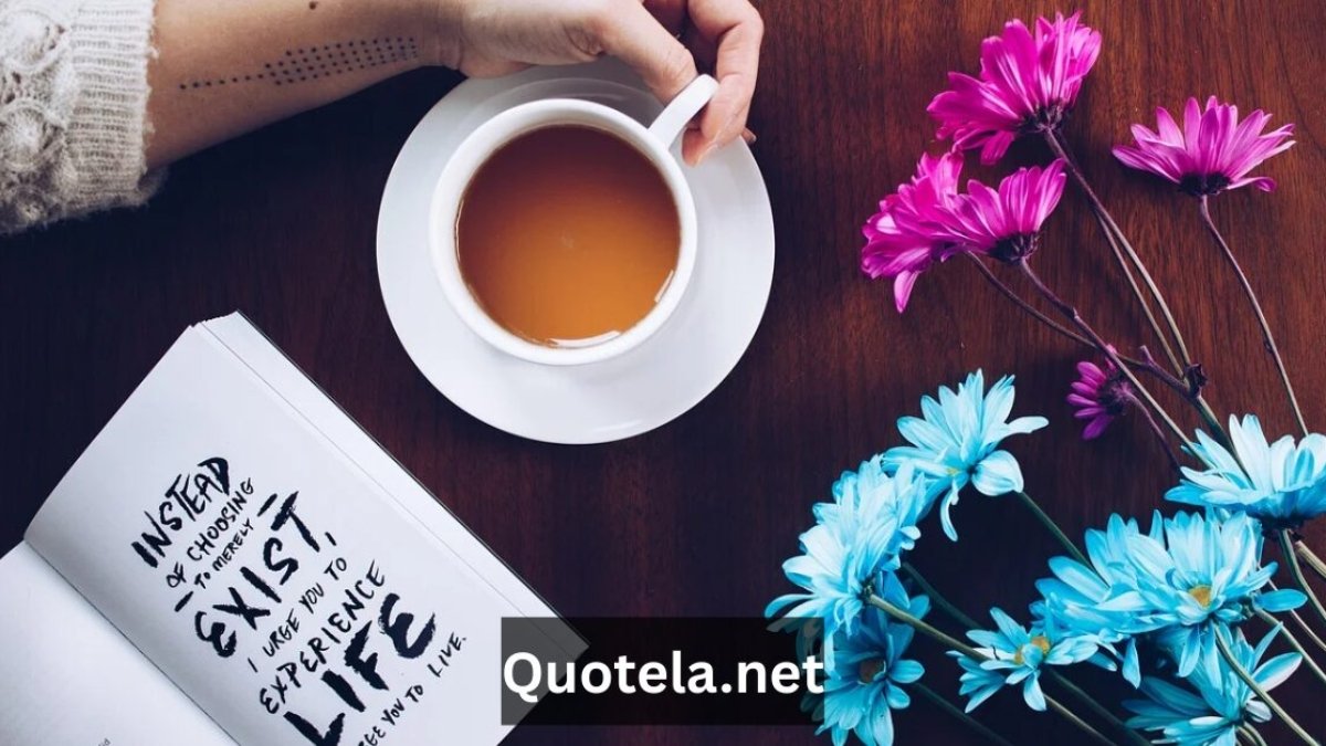Quotela.net