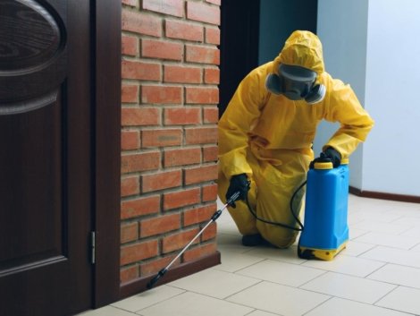 What-Are-The-Common-Mistakes-Building-Owners-Make-Regarding-Pest-Control-2